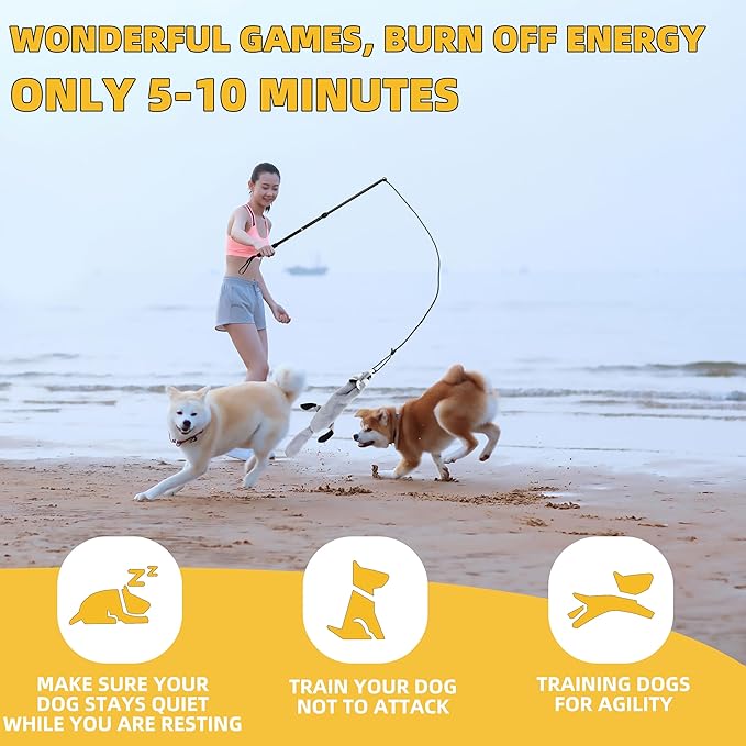 Flirt Pole Dogs, Dog Chase Toy with Squeakers Inside, Dog Fishing Pole Toy for Large Medium Small Dogs to Keep The Puppy Entertained and Physically Exhausted, Rope+Beaver