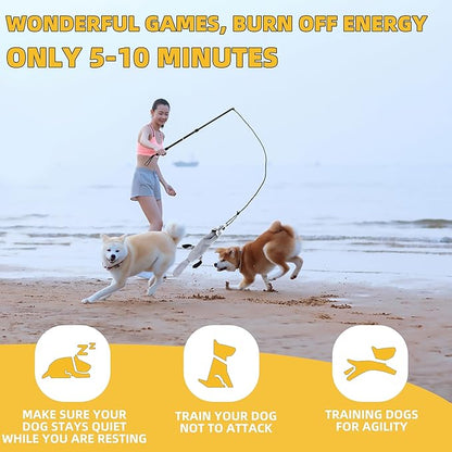 Flirt Pole Dogs, Dog Chase Toy with Squeakers Inside, Dog Fishing Pole Toy for Large Medium Small Dogs to Keep The Puppy Entertained and Physically Exhausted, Ball+Beaver