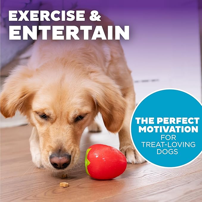 Outward Hound by Planet Dog Foodies Strawberry Treat-Dispensing Dog Chew Toy, Pink