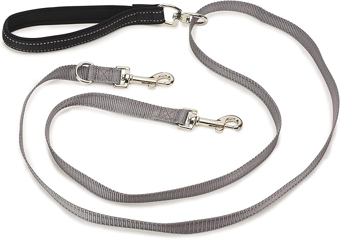 PetSafe Two Point Control Leash, Padded and Reflective Nylon, Converts to Single Leash, Works with 3in1 Harnesses, 3/4 in. Wide
