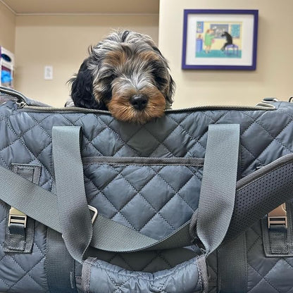 rocket & rex Dog Carrier Airline Approved. Soft-Sided Cat Carrier, Pet Carrier. Everyday Use, Car, Plane Travel. Collapsible, Rigid Frame for Easy Storage.