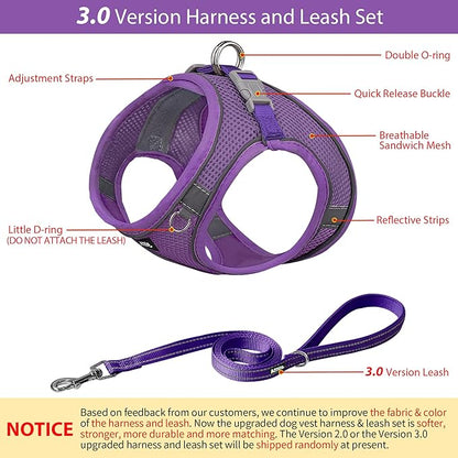 AIITLE Small Harness for Puppy with A Leash - Dog Vest Harness with Super Breathable Mesh, Reflective No-Pull Pet Harness for Outdoor Walking, Running for Small Dogs, Cats Pure Purple XXS
