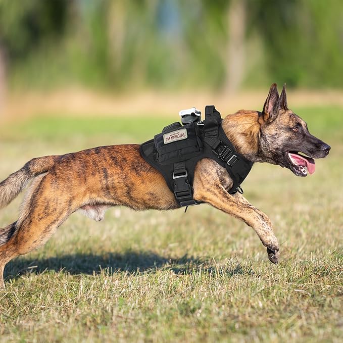 rabbitgoo Tactical Dog Harness for Small, Heavy Duty Pet Harness with Handle, No-Pull Service Vest Small Breed, Adjustable Military Dog Vest for Training Hunting Walking, Black, S