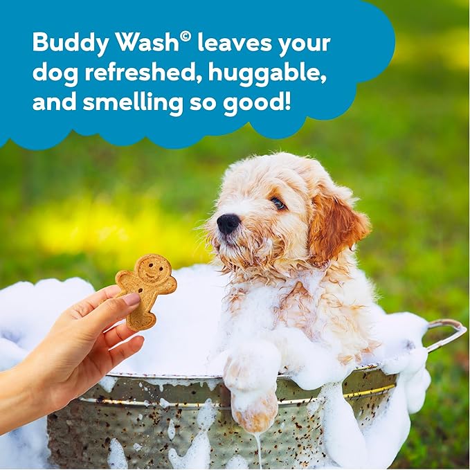Buddy Wash 2-in-1 Dog Shampoo and Conditioner for Dog Grooming, Rosemary & Mint, 16 oz. Bottle