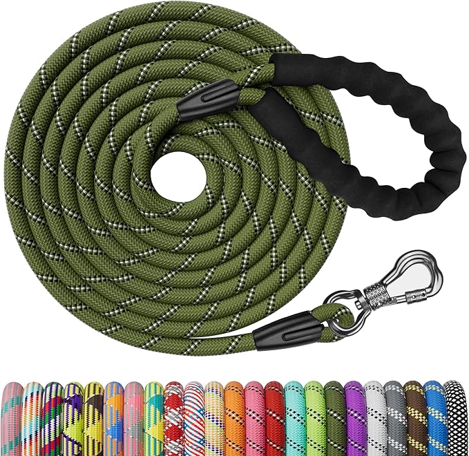 NTR 100FT Leash for Large Breed Dog, Long Leash with Swivel Lockable Hook, Padded Handle and Highly Reflective Thread, Pet Lead for Walking, Hunting,Camping, Backyard for Small Medium Large Dog