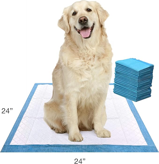 Four Paws Wee-Wee Super Absorbent Unscented Pee Pads for Dogs & Puppies with Insta-Rise Border, Leak-Proof Dog Housebreaking Potty Training Floor Protection, 24" x 24", 75 Count (Packaging May Vary)