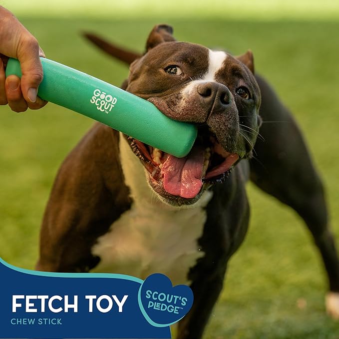 Good Scout Chew Stick - Aggressive Chew Toy for Puppies & Adult Dogs, No Stuffing for Medium & Large Dogs