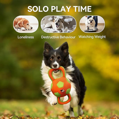 ALL FOR PAWS Dog Ball with Handles, Dog Toy with Squeaker, Interactive Tug of War Ball Toy for Medium and Large Dogs,15.7 x 7.9 x 7.9 Inch