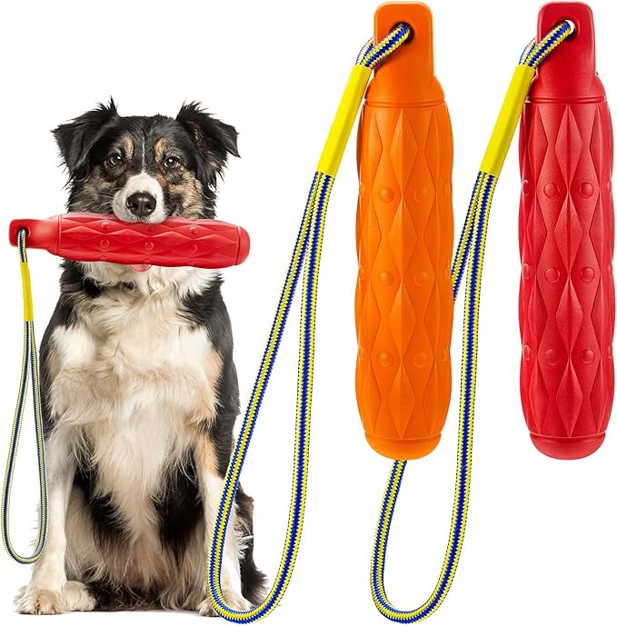 2 Pcs Floating Dog Toys Bumper with Throw Rope Retriever Training Puppy Pool Toys Standard Size Water Interactive Chew Toy for Duck Dog Hunting Training Outdoor Pool Activities