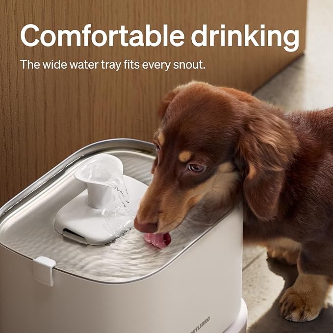 Bundle of PETLIBRO Dog Water Fountain Stainless Steel Tray with 8 Packs Filters, Water Fountain for Dogs Inside with App Monitoring, 3L Dog Fountain Water Bowl, Automatic Water Dispenser for Dogs