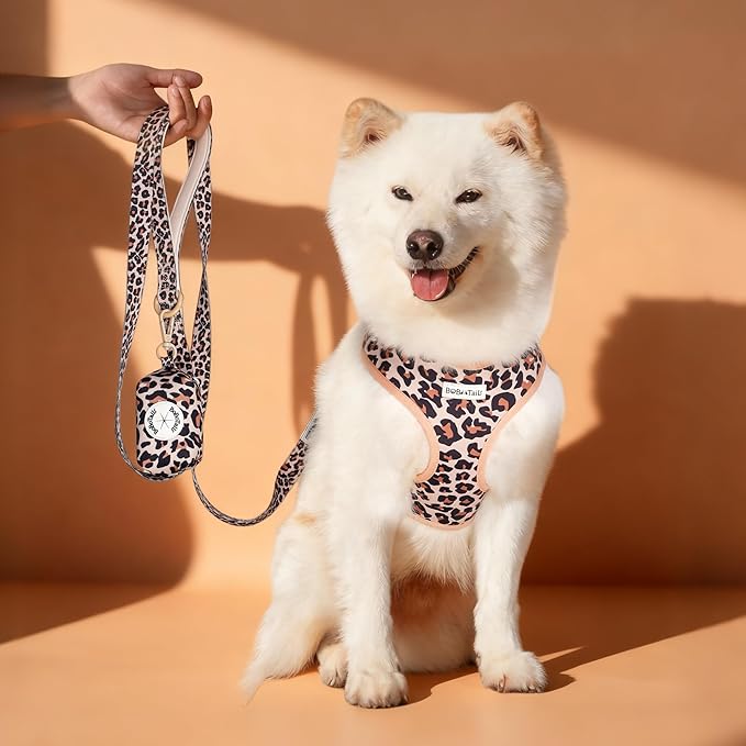 5 FT Stylish Dog Leash, Soft Dog Leashes with Comfortable Padded Handle, Metal Carabiner Clip, Strong No Pull Pet Leash for Small Medium Dogs for Walking, Shopping and Running