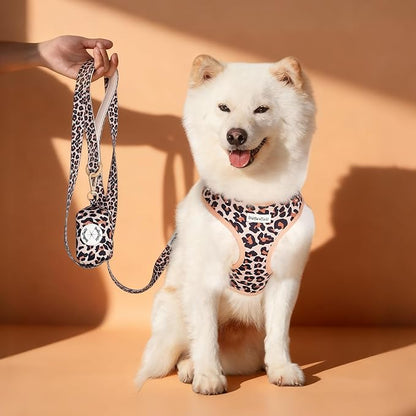 5 FT Stylish Dog Leash, Soft Dog Leashes with Comfortable Padded Handle, Metal Carabiner Clip, Strong No Pull Pet Leash for Small Medium Dogs for Walking, Shopping and Running