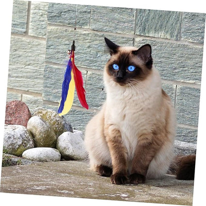 Long Kitten Teaser Home Cat Set Cat Teasing and Feather Teaser Stick Random