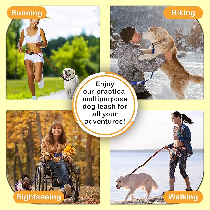 Hands-Free Leash for Small to Large Dogs 5ft - Heavy Duty Adjustable Waist Belt, Padded Handles, Reflective Stitching, Satin Carry Bag for Walking, Running, Hiking