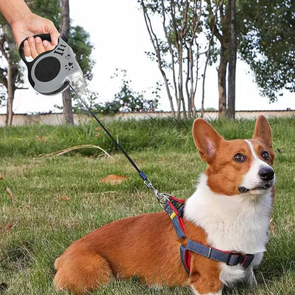 16FT Retractable Dog Leash with LED Flashlight for Night Walking, USB Rechargeable Hands-Free Leash for Small Medium Dogs, Automatic Locking & Extending, Grey