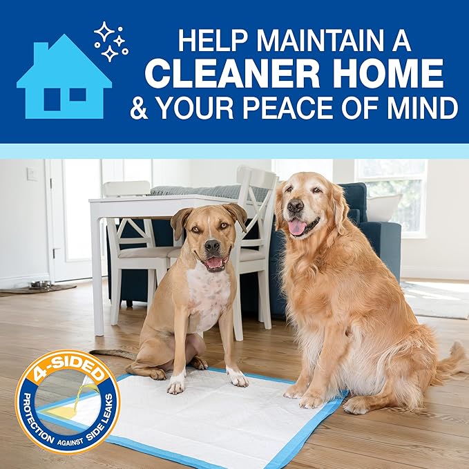 Four Paws Wee-Wee Superior Performance Unscented Extra-Large Pee Pads for Dogs & Puppies, Quilted Leak-Proof Dog Housebreaking Potty Training Floor Protection, 28" x 34", 40 Count