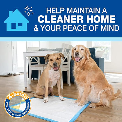 Four Paws Wee-Wee Superior Performance Unscented Extra-Large Pee Pads for Dogs & Puppies, Quilted Leak-Proof Dog Housebreaking Potty Training Floor Protection, 28" x 34", 200 Count