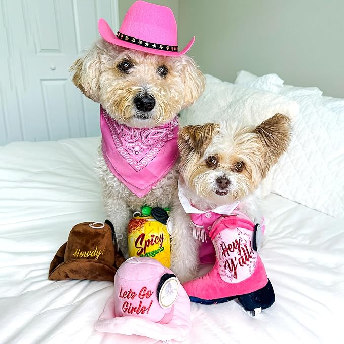 Haute Diggity Dog Cowgirl Hat Plush Dog Toy for Medium & Large Dogs, Western-Inspired Stuffed Dog Toys with Interactive Squeaker, Mesh Lining, Machine-Washable, Durable & Safe, One Size, Pink