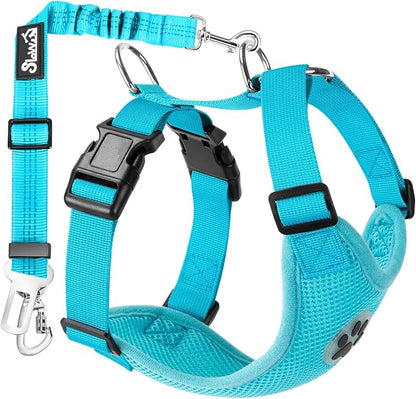 Lukovee Dog Seat Belt for Car, Adjustable Dog Car Harness for Large Medium Small Dogs, Soft Padded & Breathable Mesh Dog Seatbelt with Car Strap and Carabiner (Light Blue,XXXS)
