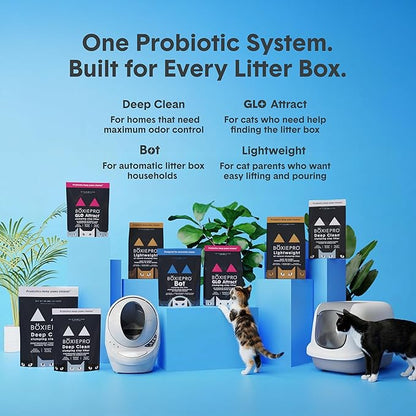 Boxie Probiotic Cat Litter, 40 Day Odor Control, Clumping Clay Kitty Litter, Odor Eliminating Probiotics, Dust-Free, No Fragrances No Fillers, 28 lb