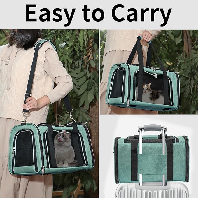 Soft-Sided Cat/Dog/Pet Carrier, Collapsible Pets Travel Carriers for Big Cats/Small Dogs with Shoulder Strap & Removable Mat, Mesh Puppy Carry Bag, Up to 16 Lbs, TSA Airline Approved(Turquoise)