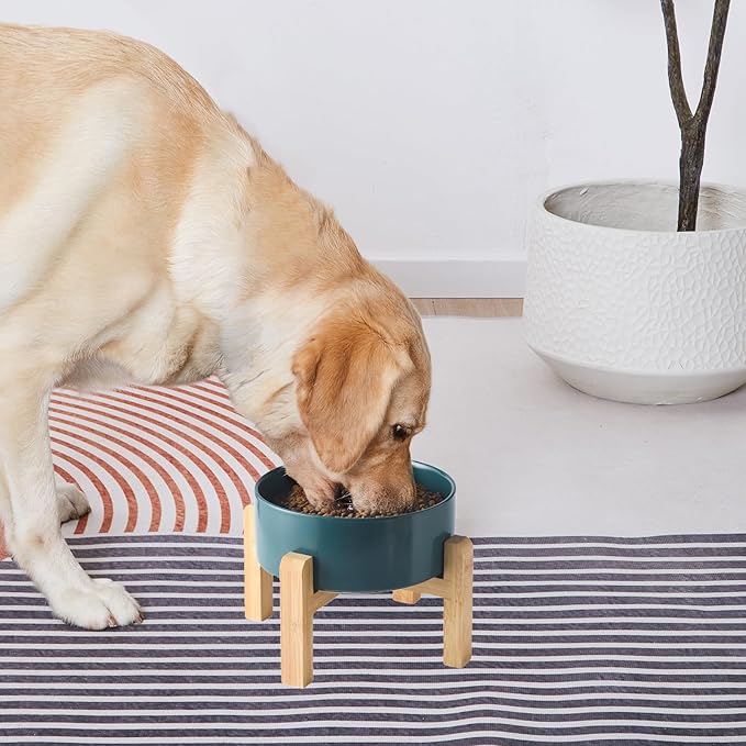 6'' Ceramic Raised Dog Bowl - 30Oz Dog Food & Water Bowl with Elevated Non-Slip Bamboo Stand, Dishwasher & Microwave Safe, Anti Vomiting Heavy Duty Pet Bowl for Small and Medium Dogs, Green