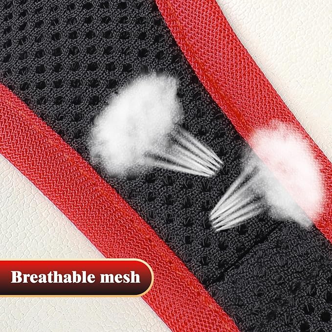 YIMEIS Dog Harness and Leash Set, No Pull Soft Mesh Pet Harness, Reflective Adjustable Puppy Vest for Small Medium Large Dogs, Cats (Black & red 01, X-Small (Pack of 1)