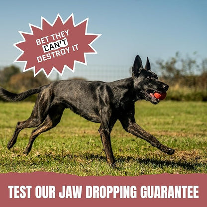 Virtually Indestructible Dog Ball - Lifetime Replacement - Tough, Durable Chew Toy for Aggressive Chewers - Safe Non-Toxic Natural Rubber - Chew & Fetch - Med/Large Breed, 3" - Beef Scent