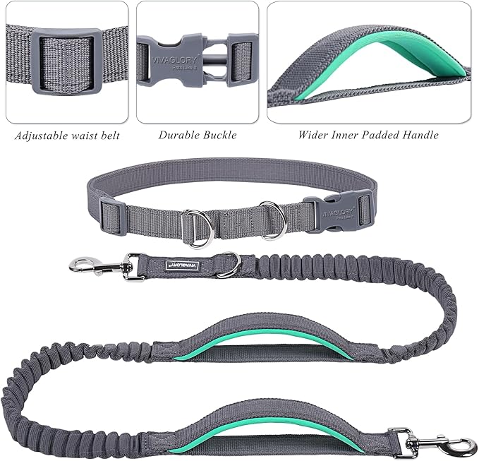 VIVAGLORY Hands Free Dog Leash Bungeetwin Running Dog Leash with Waist Belt for Running Walking & Jogging, Bungee & Around Waist for Pet, M, Grey/Turquoise