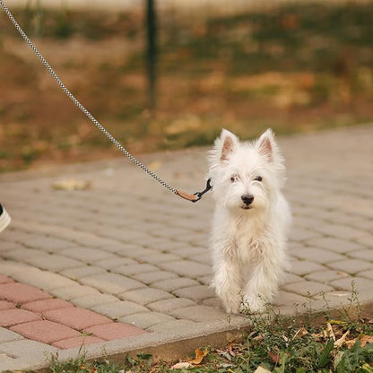Mile High Life Small Dog Leash, Thin Rope Leash with Genuine Leather Connection and Heavy Duty Metal Clasp, Great for Small Medium Dogs(Black Khaki,60 Inch-1/3)