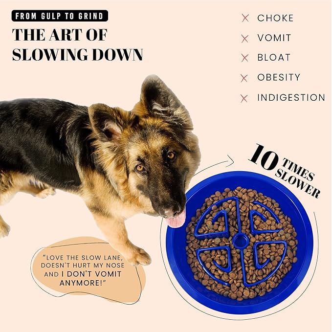AVERYDAY Slow Feeder Dog Bowls for Large Breeds Fits Raised Feeding Station, Puzzle Dog Food Bowls to Slow Down Eating, Dogs Feeding Bowl with Non-Slip, Slows Feeder Pet Bowl for Wet and Dry Food