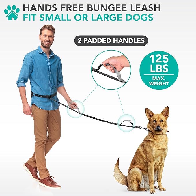 PetAmi Heavy Duty Hands Free Dog Leash, Adjustable Waist Belt for Large Dog Walking Up to 125 lbs, Bungee Leash for Pet Running, Hiking, Reflective Safety for Jogging, Biking, Grey Handle