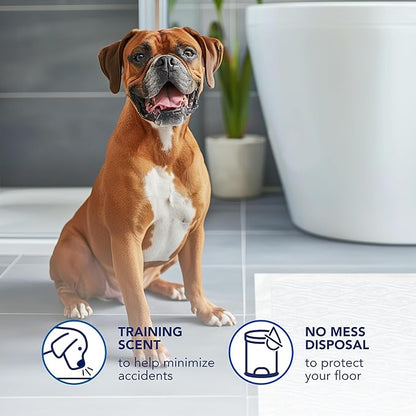 Scott Pet Guard Dog Pads - Size XXL - 36" x 36" - 40 Pack