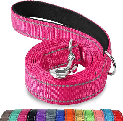 Joytale Dog Leash, 4 FT Double-Sided Reflective, Padded Handle Nylon Heavy Duty Leashes for Small Dogs Walking, Hotpink