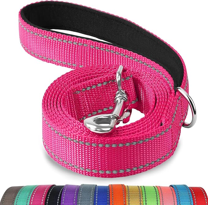 Joytale Dog Leash, 5 FT Double-Sided Reflective, Padded Handle Nylon Heavy Duty Leashes for Small Dogs Walking, Hotpink