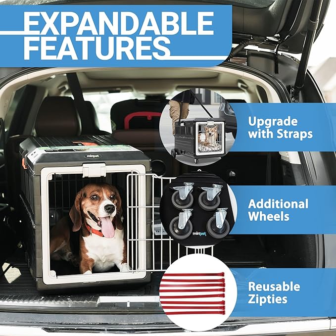 Pet Carrier & Crate, 21.5"L x 12"W x 14"H - Collapsible for Small Cats and Dogs, Portable Hard Plastic Wall Kennel for Indoor/Outdoor Use