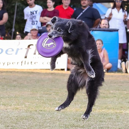 Hyperflite K-10 Hyperflex Dog Flying Disc – Ultra Flexible – Puncture Resistant – Competition Approved – 8.75” / 150g – Purple