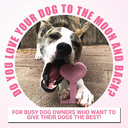 Bullibone Nylon Dog Chew Toy for Aggressive Chewers - Dental Hygiene Bone with Peppermint Flavor, Durable Tough Chew Toys for Large Dogs, Indestructible Dog Bone - 2 Pack