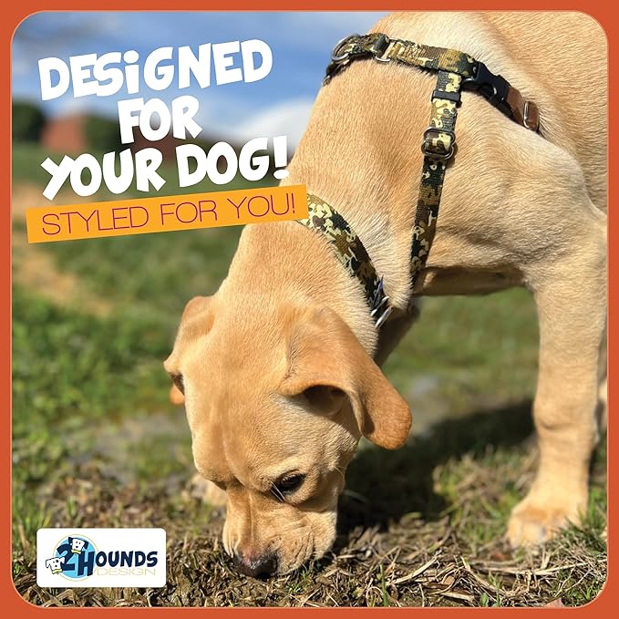 2 Hounds Design - Freedom No-Pull Harness & Training Leash in Green Mud | Dual Leash Loops, No Pulling on Walks | Lined to Prevent Chaffing | for Large Sized Dogs (Size M, Chest 24”- 28”)