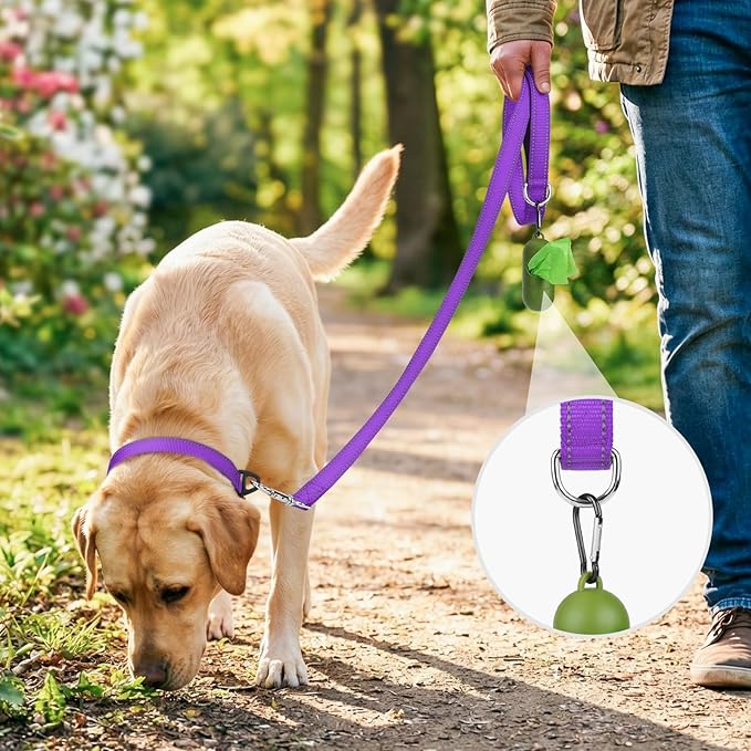 Joytale Dog Leash, 5 FT Double-Sided Reflective, Padded Handle Nylon Heavy Duty Leashes for Small Dogs Walking, Purple