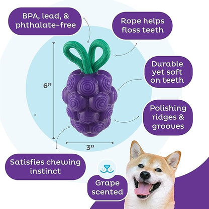 Outward Hound Dental Grapes Dog Toy & Treat Stuffer, 6″ x 3″ Grape-Scent Interactive Chew for Dogs, Helps Clean Teeth, Promote Healthy Gums & Mental Enrichment, Reduce Boredom & Support Dental Health