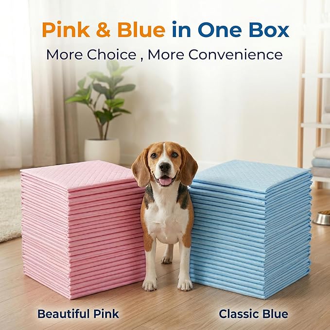 Dog Pee Pads 200 Count (Up to 100 Days) 23x23” – MoMoCo Dual Color (Pink & Blue) Super Absorbent 6-Layer Leak-Proof Puppy Training Pads, Bulk Value Pack for Multi-Pet Homes
