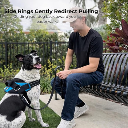 ShawnCo Essential Dog Harness, No-Pull Pet Vest with 3 Leash Clips, No Choke, Reflective, Adjustable and Padded, for Easy Walking and Training for Small, Medium and Large Dogs (USA Flag,XL)