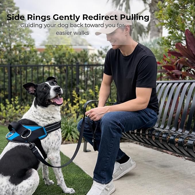 ShawnCo Essential Dog Harness, No-Pull Pet Vest with 3 Leash Clips, No Choke, Reflective, Adjustable and Padded, for Easy Walking and Training for Small, Medium and Large Dogs (Military Camo, XL)