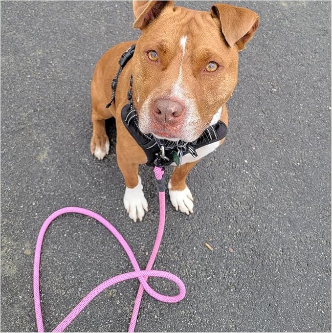 MayPaw Heavy Duty Rope Dog Leash, 3/4/5/6/7/8/10/12/15 FT Nylon Pet Leash, Soft Padded Handle Thick Lead Leashes for Large Medium Dogs (Pink-Blue dot, 1/2" * 8')