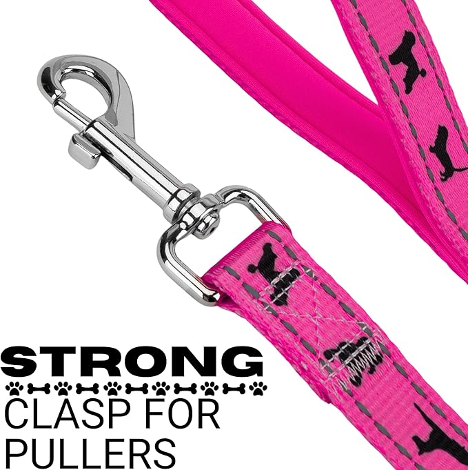 EcoBark Dog Leash - Soft & Reflective Comfort Training Leashes with Padded Handle - Safe, Strong, & Durable for Small, Medium or Large Dogs (Pink)