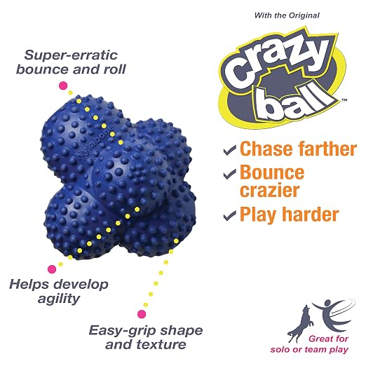 Nylabone Power Play Crazy Ball Interactive Play Toy, Fetch Ball Toy for Dogs, Large (1 Count) - Image 2