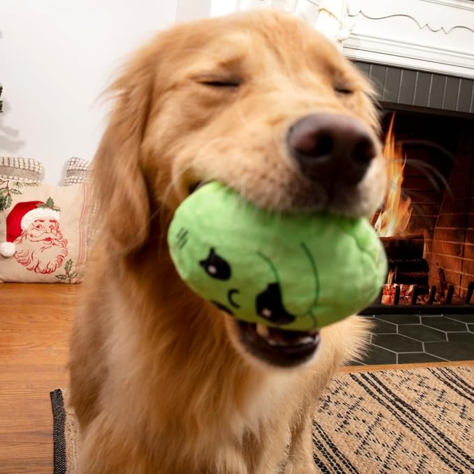 Barkbox Consuela The Christmas Cactus Dog Toy – Plush Rip & Reveal Holiday Toy with Whip-N-Flip Arms, Fluffy Stuffing & Hidden Spiky Ball Squeaker – Festive Play for Large Dogs