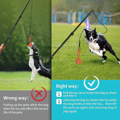 Flirt Pole for Dogs - Durable Dog Rope Toy for Small Medium Large Dogs - Interactive Dog Toys Chase and Tug of War - Lure Chewing Toy for Outdoor Exercise Training