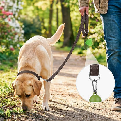 Joytale Double-Sided Reflective Dog Leash, 6 FT/5 FT/4 FT, Padded Handle Nylon Heavy Duty Leashes for Small & Medium Dogs Walking, Brown, 5FT